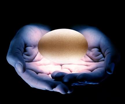 Picture of hands cradling egg, getty images